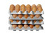 Plateaux pour boite à oeufs gastronorme GN 2/3 (x4)