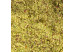 Poudre de pistache