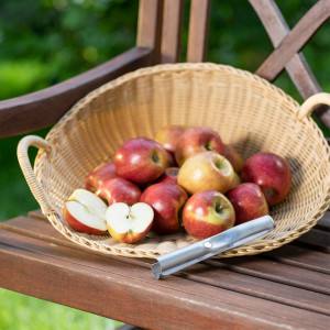 Vide pomme inox "Kernfix"