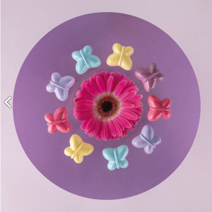 Moule &agrave; chocolat copolyester 24 demi papillons - Martellato