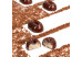Moule à chocolat copolyester 20 biscuits - Martellato