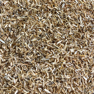 Sciure de bois de bouleau pour fumage - 500 g