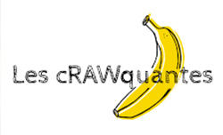 La séléction cRAWquantes