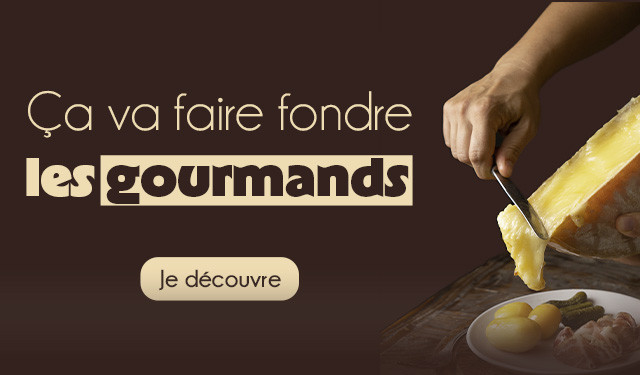 Cat&eacute;gorie appareil &agrave; raclette