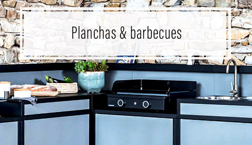 Planchas professionnelles